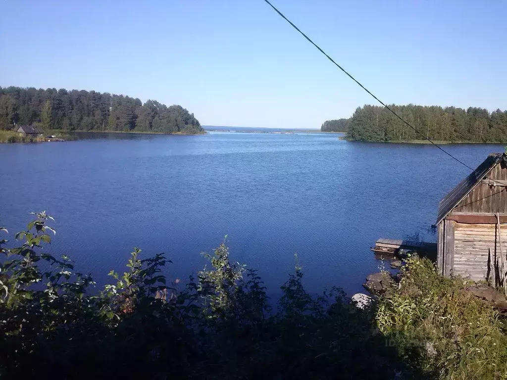 Дом в Карелия, Пряжинский район, Эссойльское с/пос, д. Сяргилахта  (25 ... - Фото 1