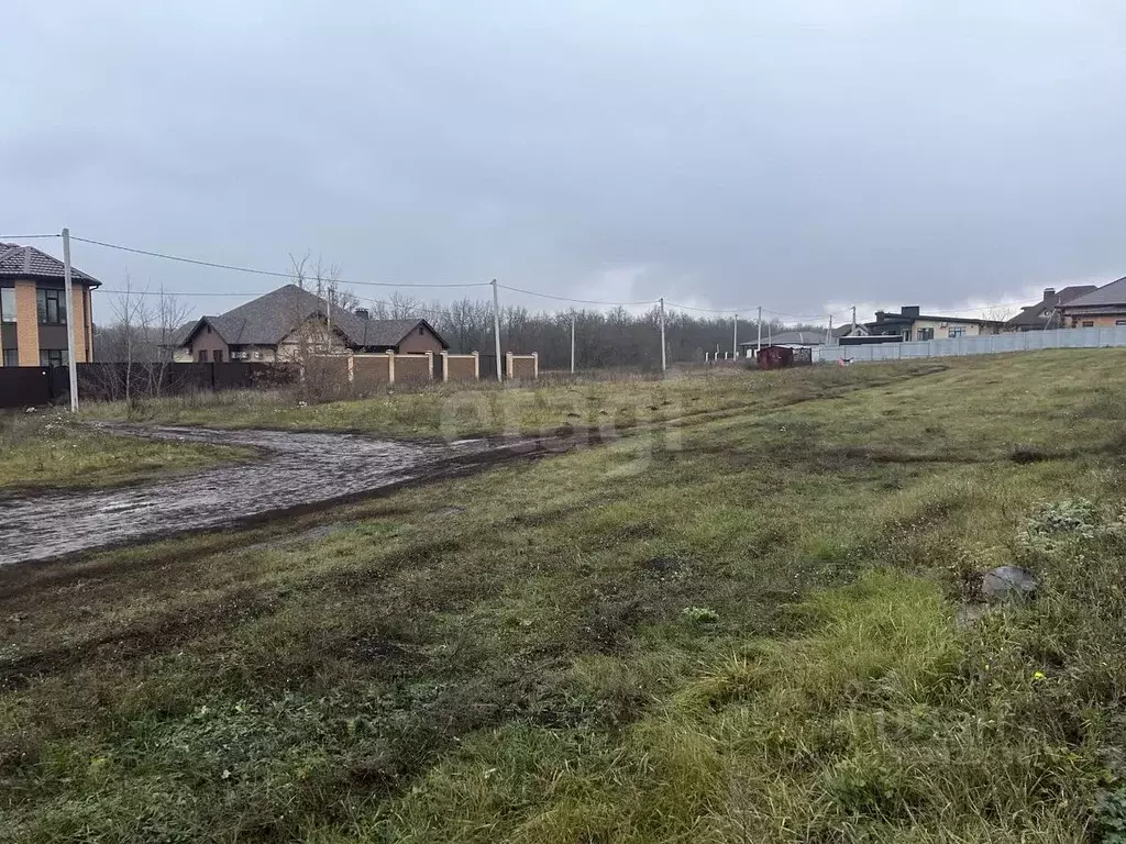 Участок в Белгородская область, Белгородский район, Дубовское с/пос, ... - Фото 2