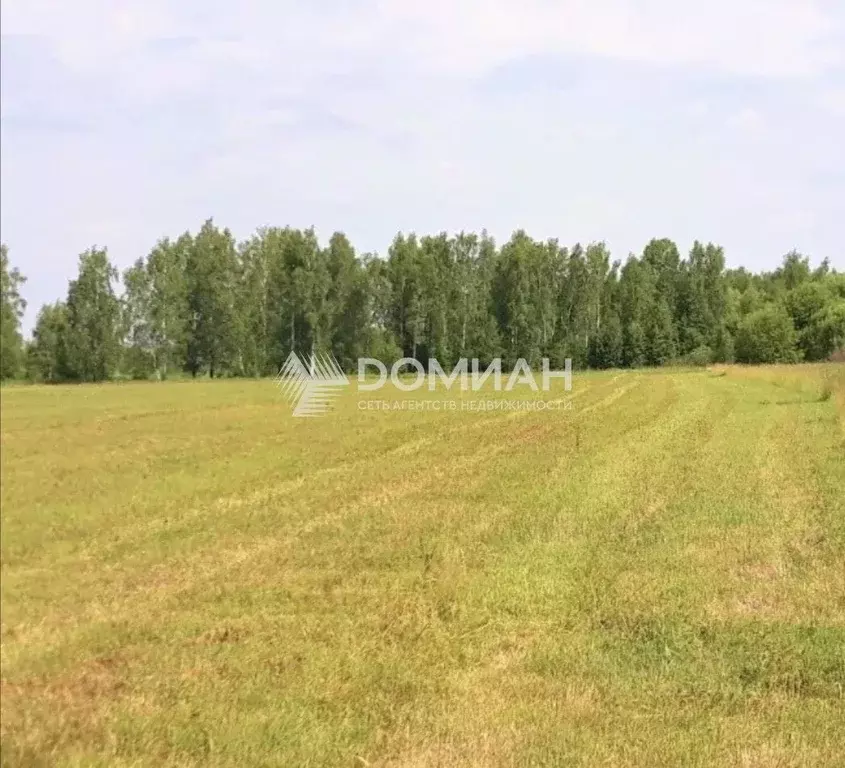 Участок в Ростовская область, Аксайский район, Грушевская ст-ца пер. ... - Фото 1