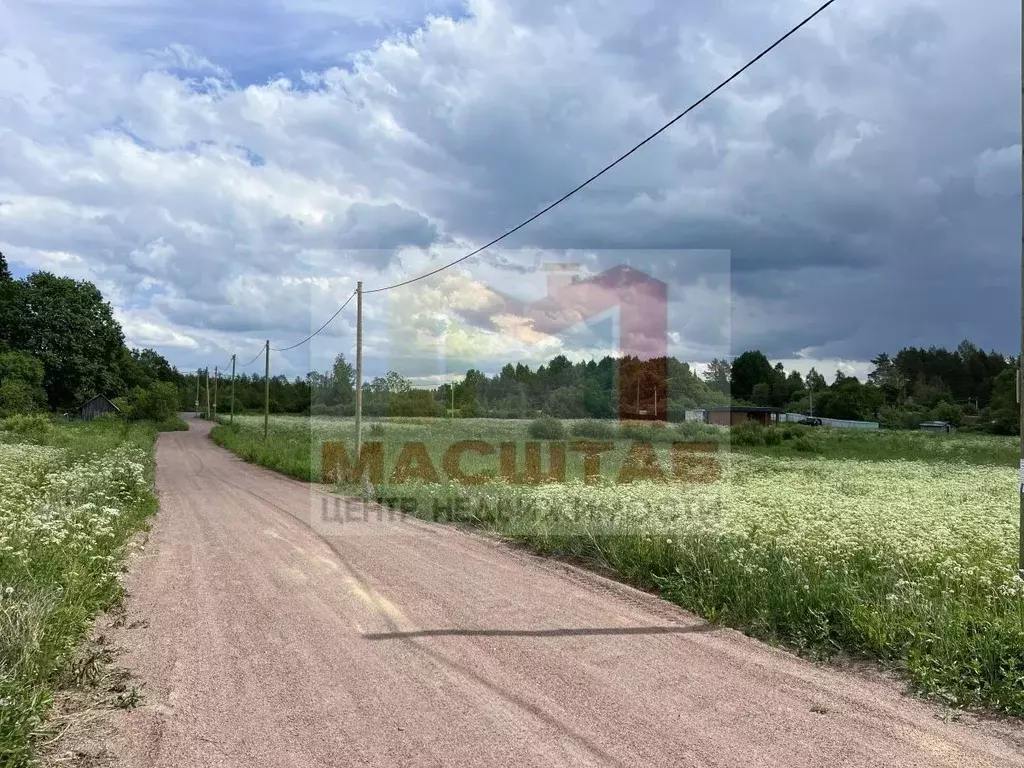 Участок в Ленинградская область, Выборгский район, Красносельское ... - Фото 0