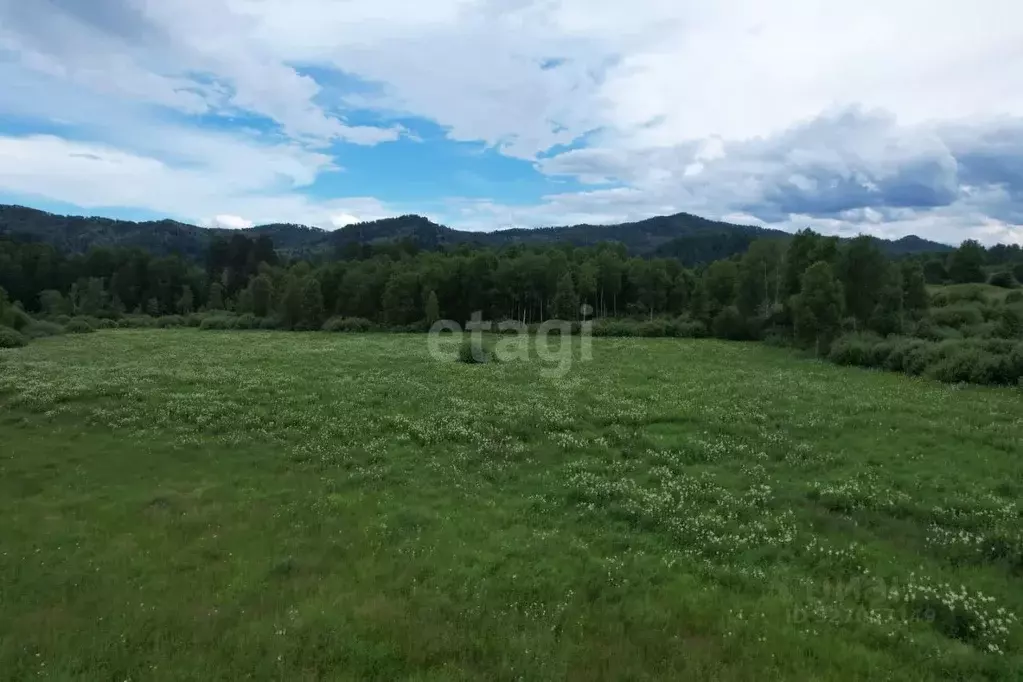 Участок в Алтай, Чойский район, с. Паспаул  (849.5 сот.) - Фото 2