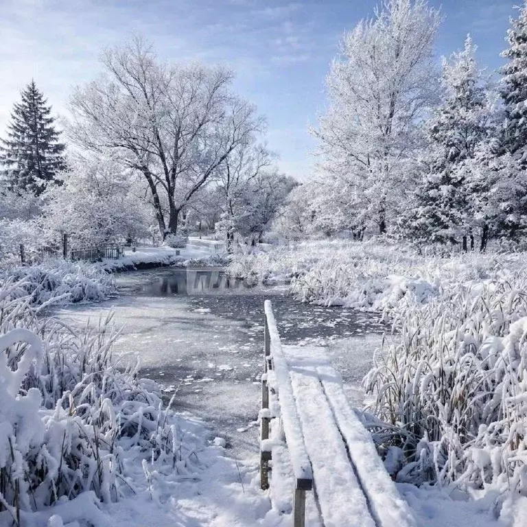 Дом в Курская область, Льгов пер. 1-й Красноармейский, 5 (129 м) - Фото 2