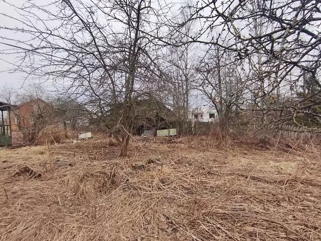 Участок в Санкт-Петербург пос. Усть-Ижора,  (12.97 сот.) - Фото 1