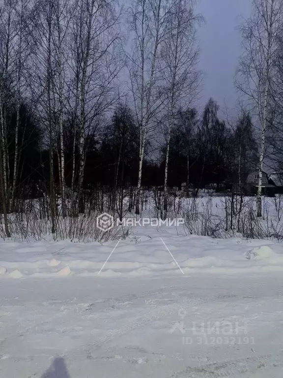 Участок в Московская область, Можайский муниципальный округ, д. ... - Фото 1