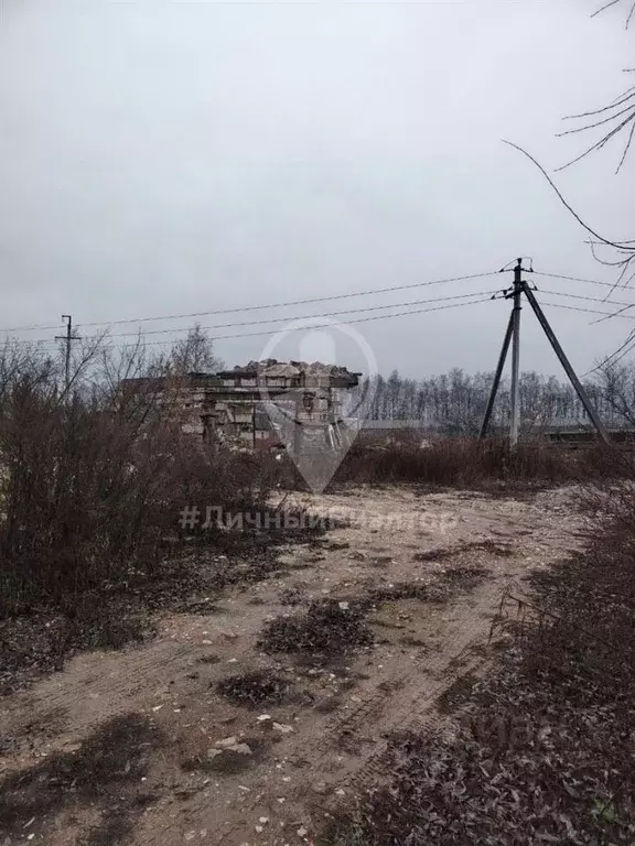 Торговая площадь в Рязанская область, Рязань Садовод-3 СТ, 88 (1200 м) - Фото 1