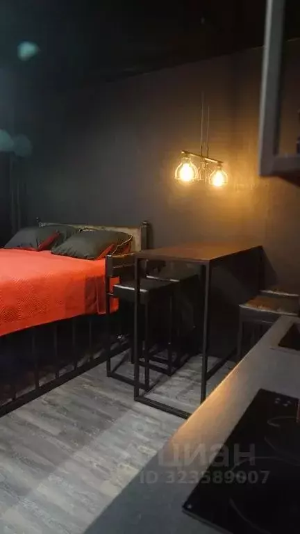 Студия Санкт-Петербург просп. Авиаконструкторов, 63 (25.0 м) - Фото 1