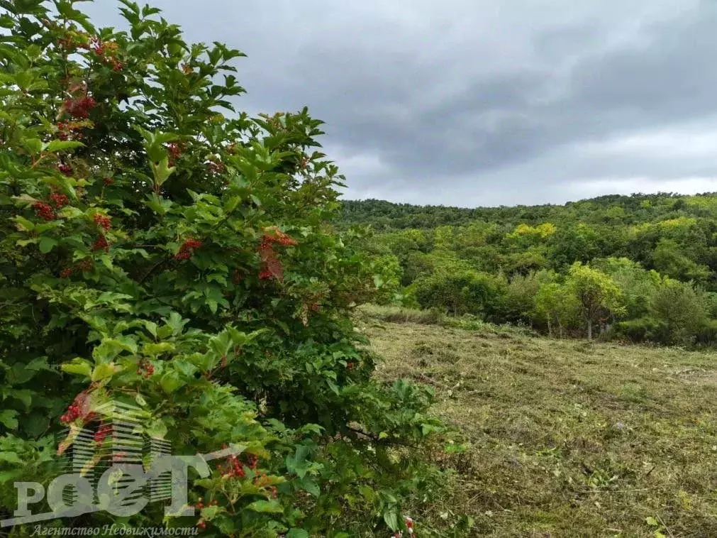 Участок в Приморский край, Артем Родник-1 СНТ, ул. Лесная (10.0 сот.) - Фото 1
