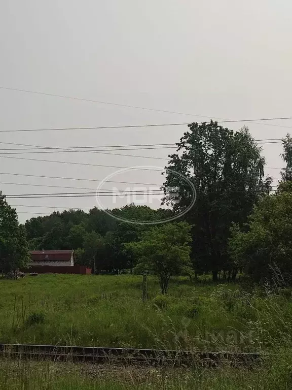 Участок в Калининградская область, Балтийск Залив-2 ТСН, проезд ... - Фото 2