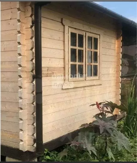 Дом в Московская область, Дмитровский муниципальный округ, Незабудка ... - Фото 1