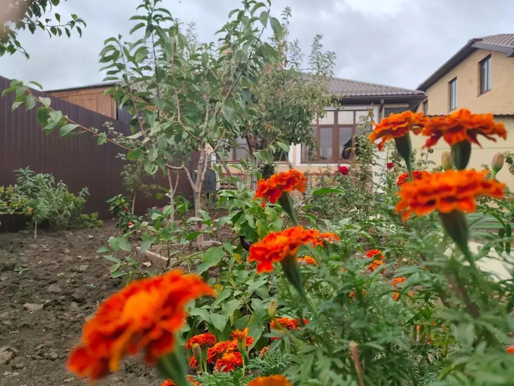 Коттедж в Краснодарский край, Краснодар городской округ, Ленина хут. ... - Фото 1