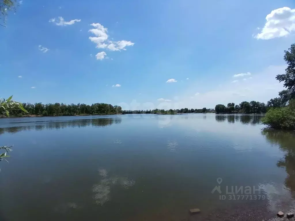 Дом в Оренбургская область, Оренбург Кооператор СНТ, ул. Яблоневая (37 ... - Фото 1