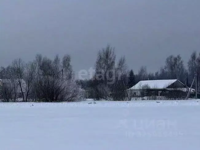 Участок в Костромская область, Красносельский район, Шолоховское ... - Фото 2