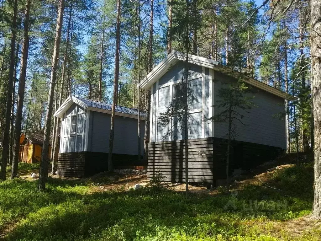 Дом в Карелия, Калевала пгт ул. Вяйнямейнена, 136 (18 м) - Фото 1