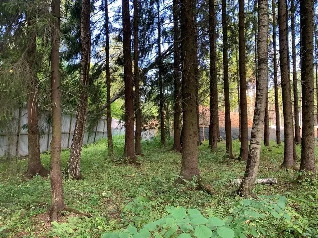 Участок в Московская область, Химки Новогорск Лес ТСН,  (17.5 сот.) - Фото 1