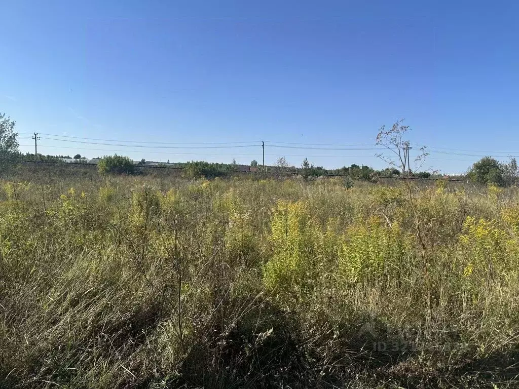 Участок в Орловская область, Орловский район, д. Усть-Рыбница, Вятский ... - Фото 0