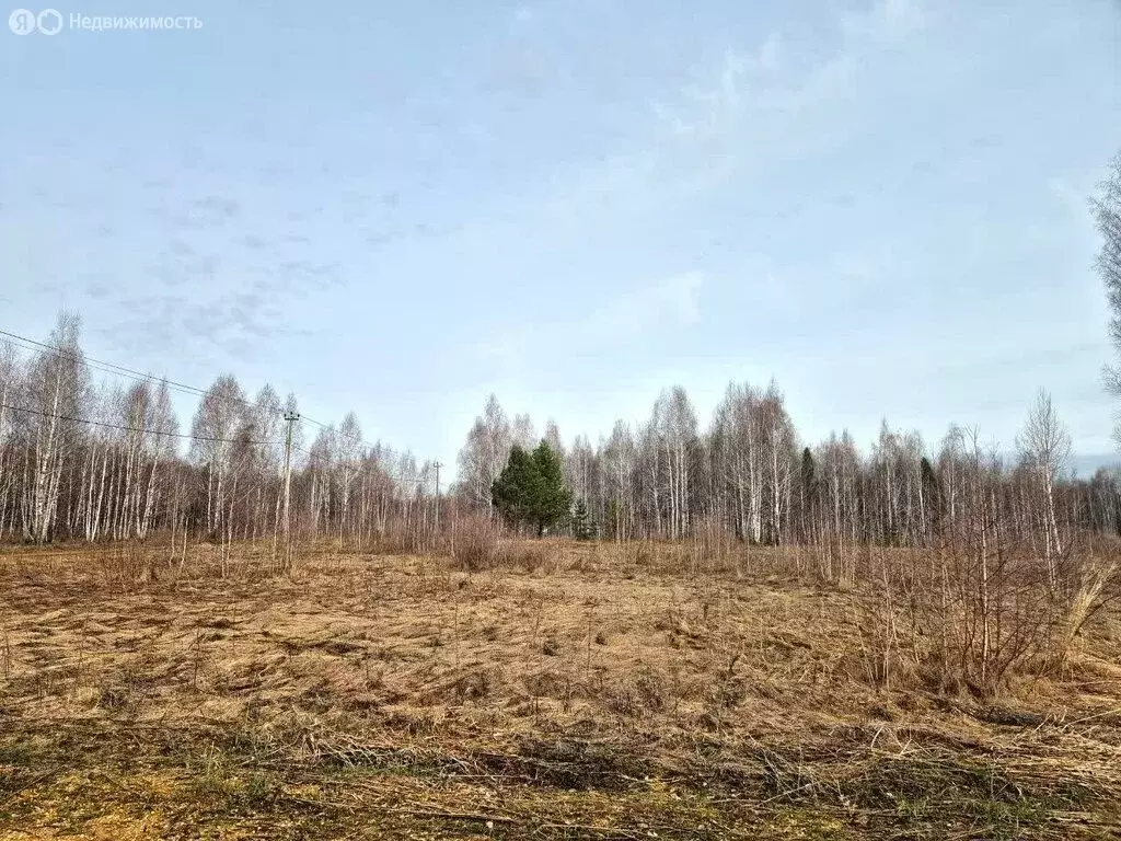 Участок в Челябинская область, Копейск (6 м) - Фото 2