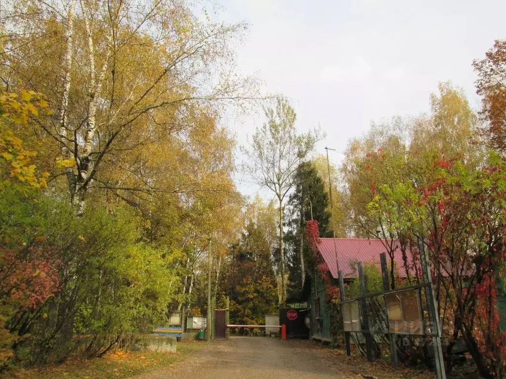 Дом в Московская область, Мытищи городской округ, д. Пирогово, ... - Фото 1