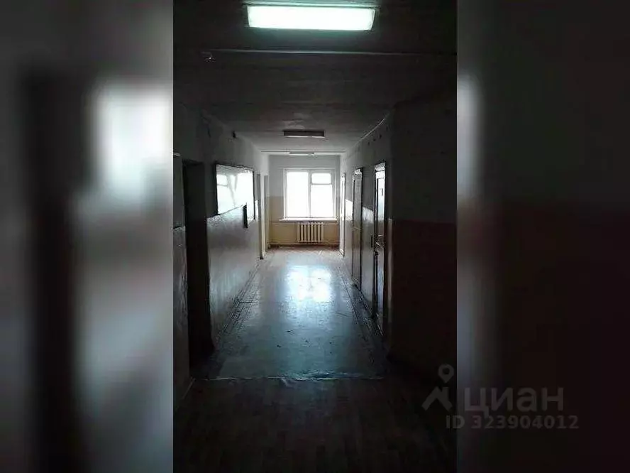 Офис в Челябинская область, с. Уйское  (107 м) - Фото 2