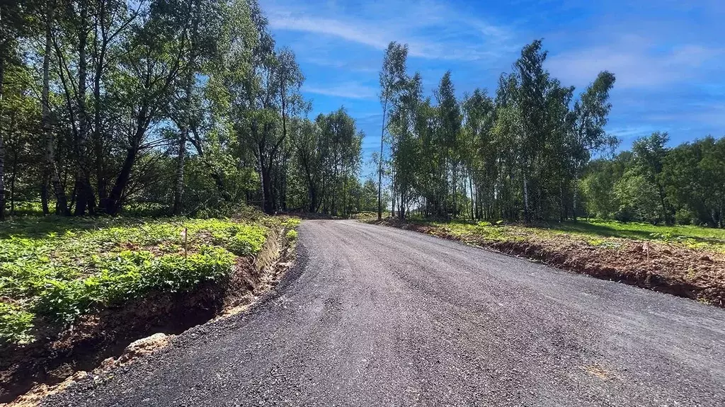 Участок в Московская область, Домодедово городской округ, пос. ... - Фото 2