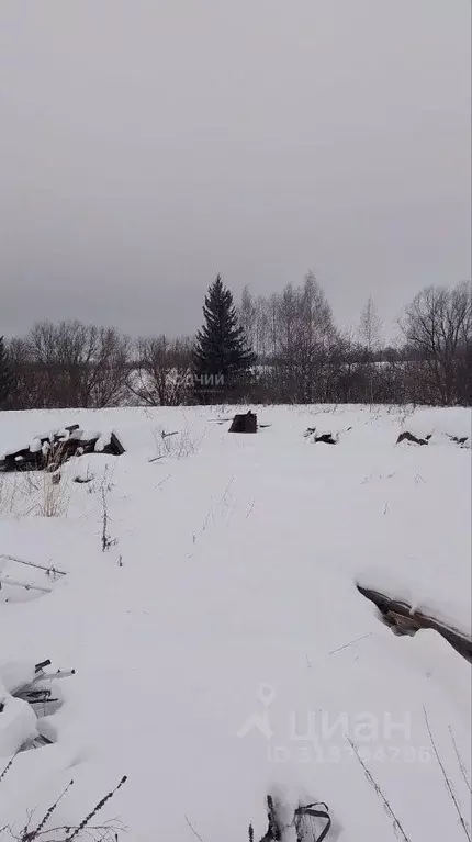 Участок в Чувашия, Чебоксарский муниципальный округ, д. Шобашкаркасы ... - Фото 1