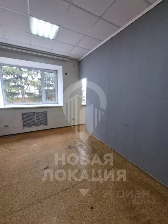 Офис в Омская область, Омск Енисейская ул., 1А (26 м) - Фото 1
