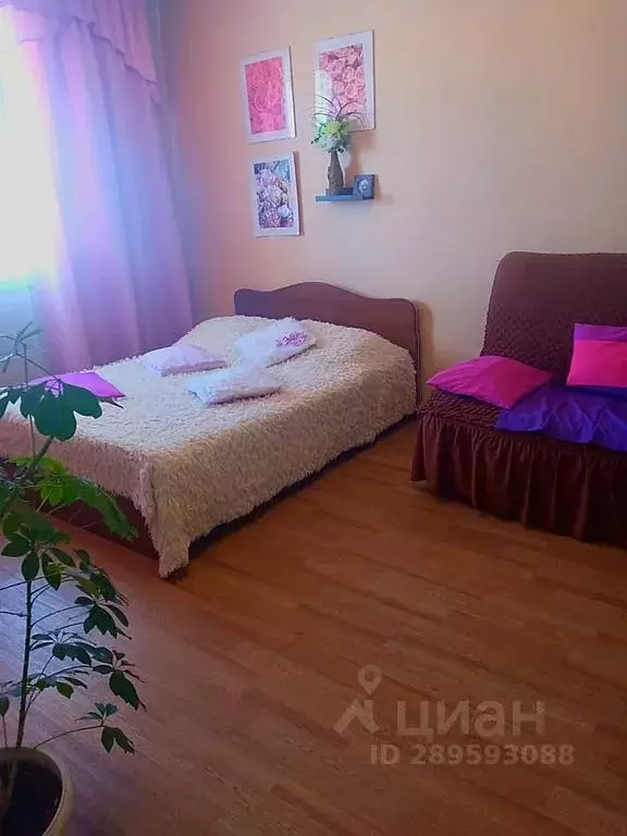 1-к кв. Новосибирская область, Новосибирск ул. Сибиряков-Гвардейцев, ... - Фото 1