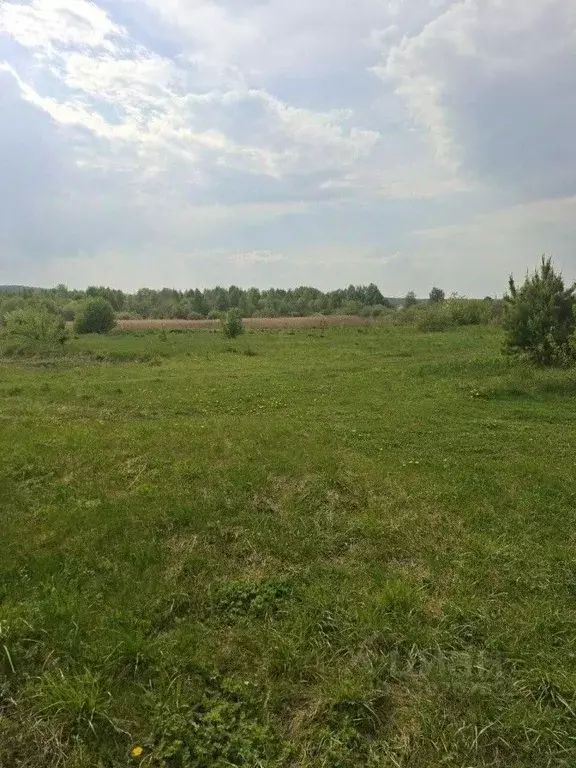 Участок в Свердловская область, Екатеринбург ул. Садовая, 3А (8.0 ... - Фото 2
