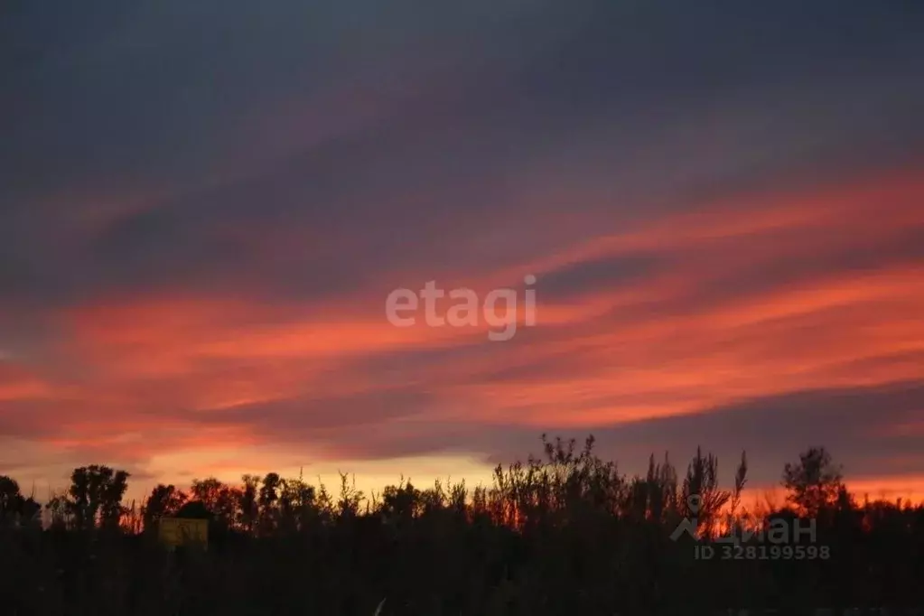 Участок в Амурская область, Благовещенский район, с. Игнатьево  (132.1 ... - Фото 1