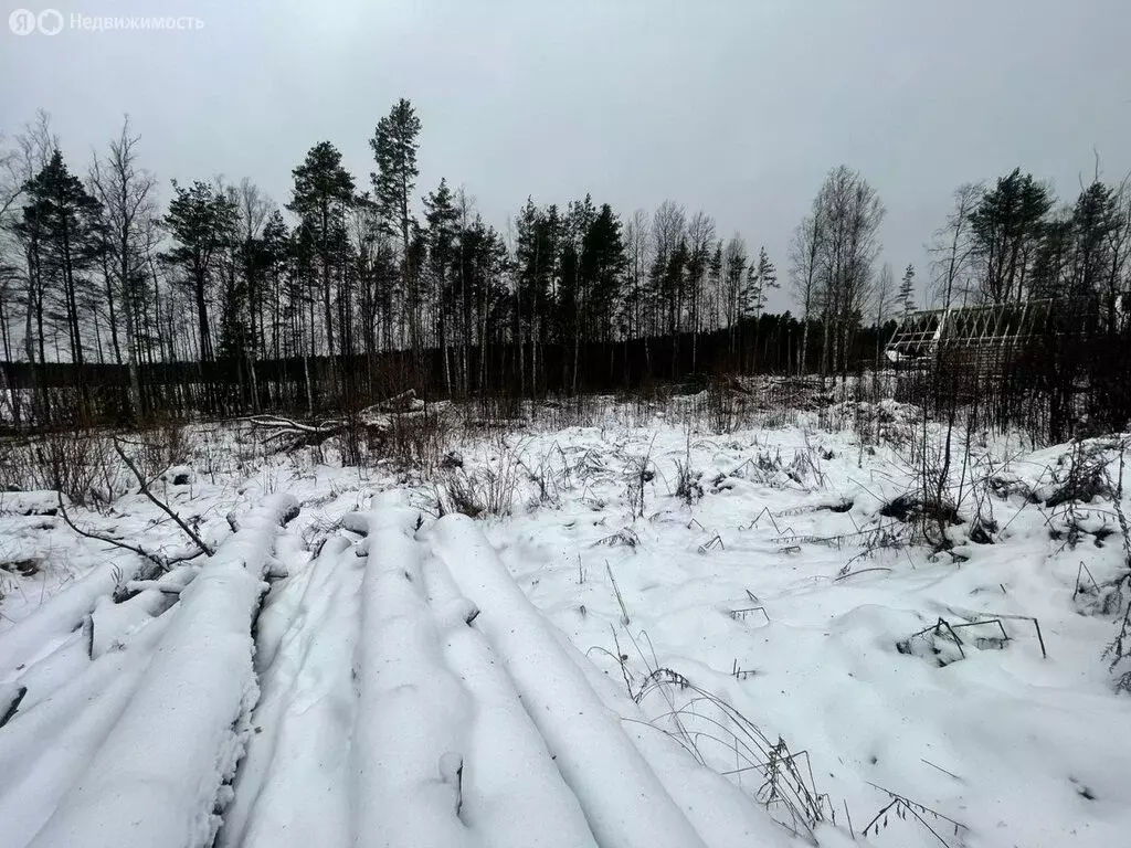 Участок в Приозерский район, посёлок Мичуринское (12 м) - Фото 0