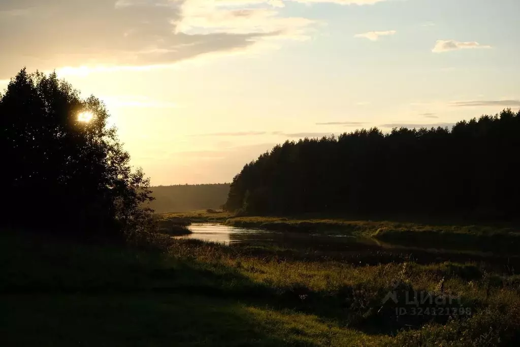 Участок в Тверская область, Калининский муниципальный округ, д. ... - Фото 1