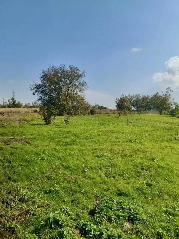 Участок в Краснодарский край, Анапа муниципальный округ, с. Юровка ул. ... - Фото 2