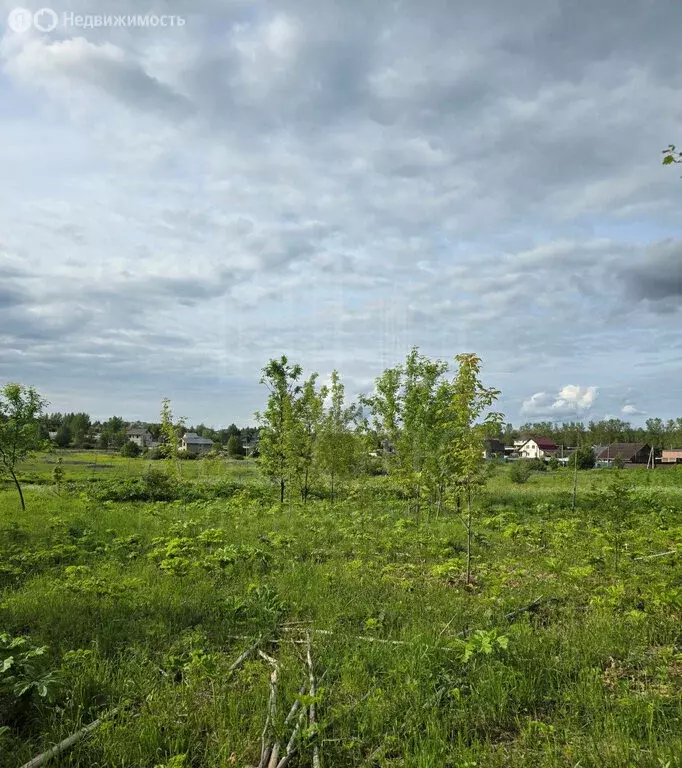 Участок в Сергиево-Посадский городской округ, деревня Рогачёво (10 м) - Фото 1