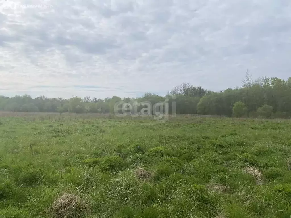 Участок в посёлок Комсомольск, Центральная улица (12 м) - Фото 1