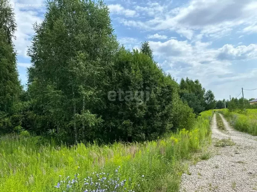 Участок в Нижегородская область, Городецкий муниципальный округ, ... - Фото 1