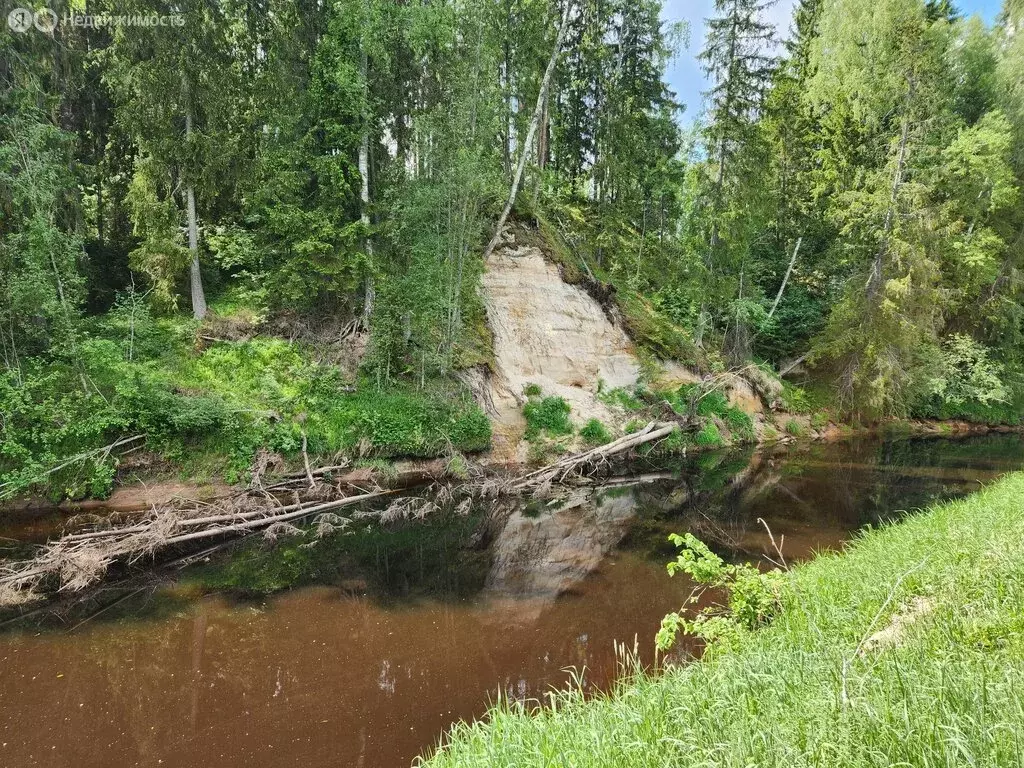 Участок в Толмачёвское городское поселение (4.45 м) - Фото 0