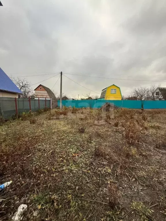 Участок в Воронежская область, Воронеж Вега-88 СНТ, ул. 20-я, 1200 ... - Фото 1