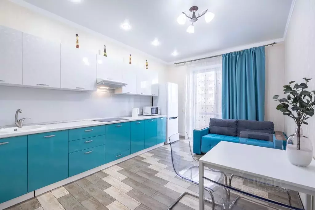 1-к кв. Краснодарский край, Краснодар Центральный мкр, ул. ... - Фото 1