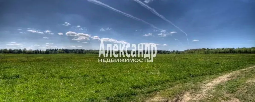 Участок в Ленинградская область, Волосовский район, Клопицкое с/пос, ... - Фото 2