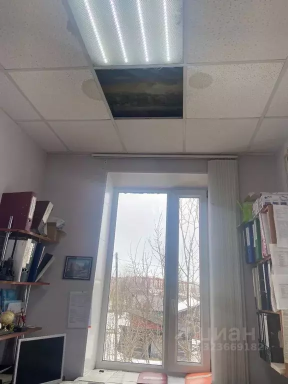 Помещение свободного назначения в Карелия, Кемь ул. Бланки, 12 (49 м) - Фото 1