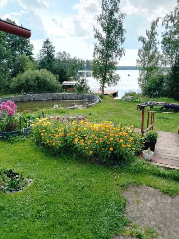 Дом в Новгородская область, Окуловский район, Березовикское с/пос, д. ... - Фото 0