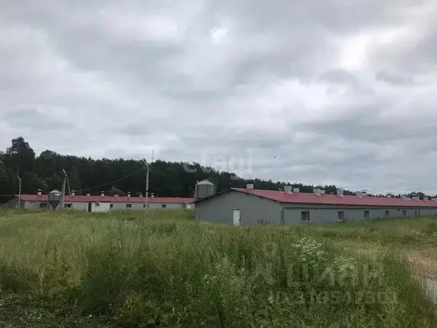 Склад в Калужская область, Юхновский район, Беляево с/пос, д. Беляево ... - Фото 1