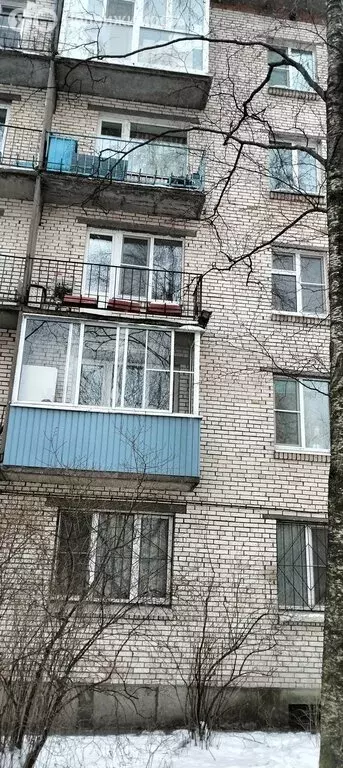 2-комнатная квартира: Санкт-Петербург, Курская улица, 24 (51 м) - Фото 1