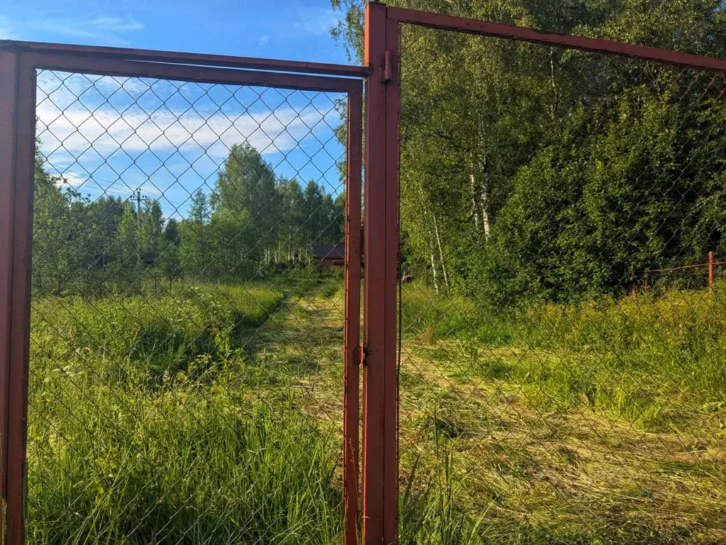 Участок в Владимирская область, Кольчугинский район, Флорищинское ... - Фото 1