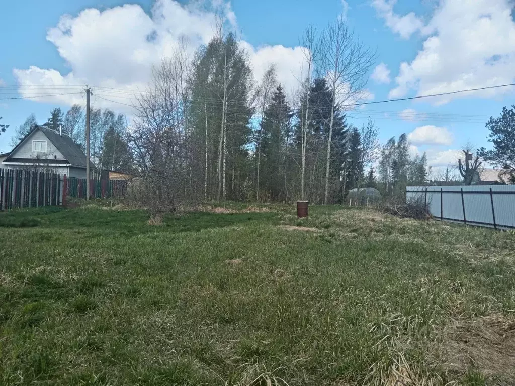 Участок в Ленинградская область, Тосненский район, Трубникоборское ... - Фото 1