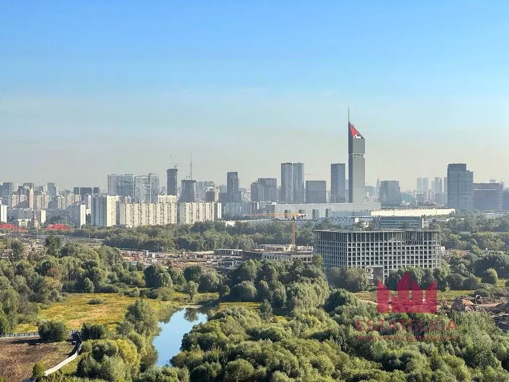 6-к кв. Москва ул. Нижние Мневники, 16к2 (265.0 м) - Фото 2