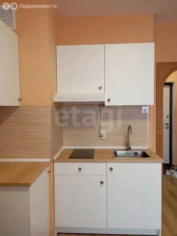 Квартира-студия: Санкт-Петербург, Среднерогатская улица, 16к2 (21 м) - Фото 2