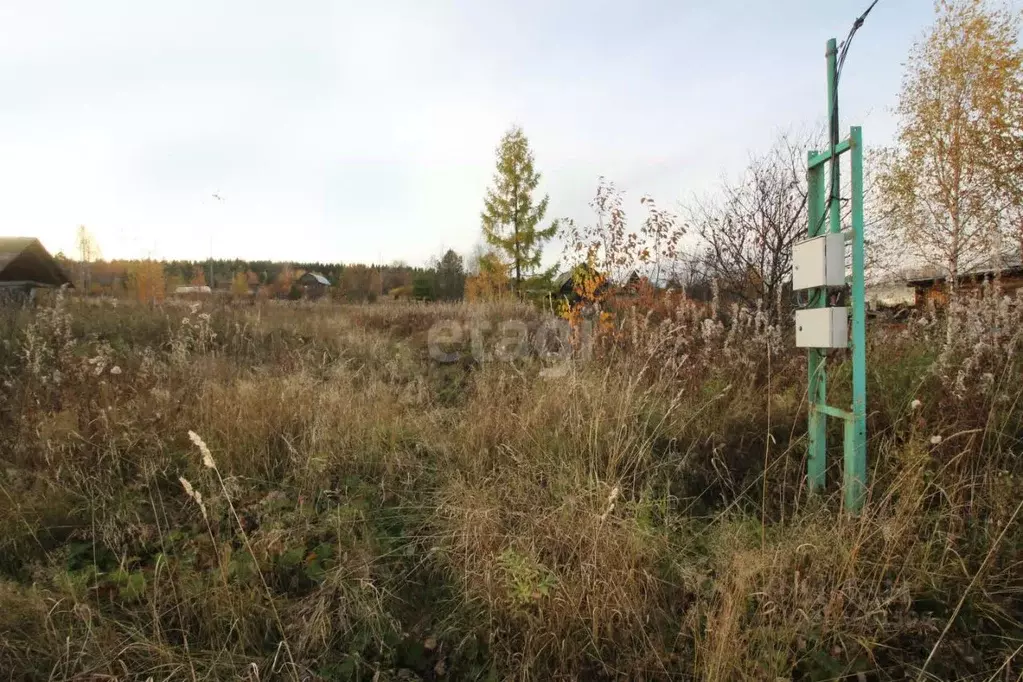 Участок в Свердловская область, Нижний Тагил городской округ, пос. ... - Фото 0