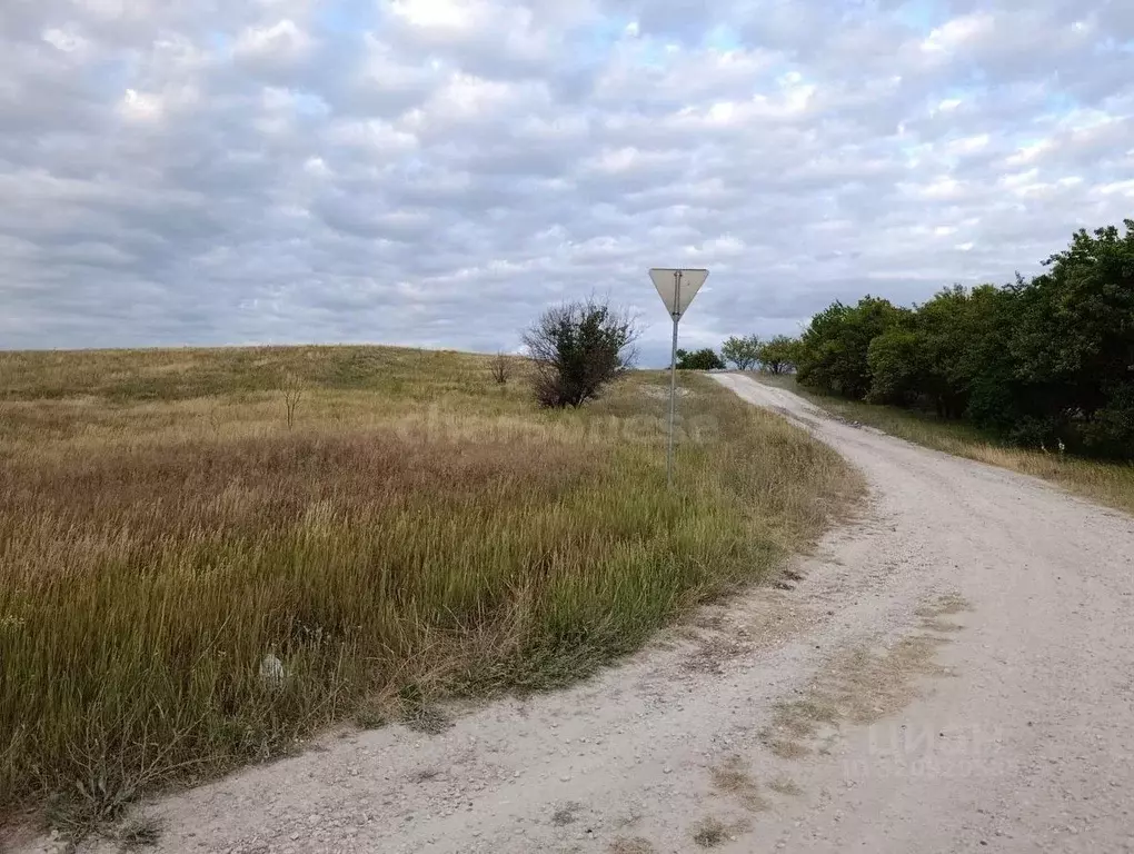 Участок в Крым, Белогорский район, с. Зеленогорское ул. Новая (100.0 ... - Фото 2