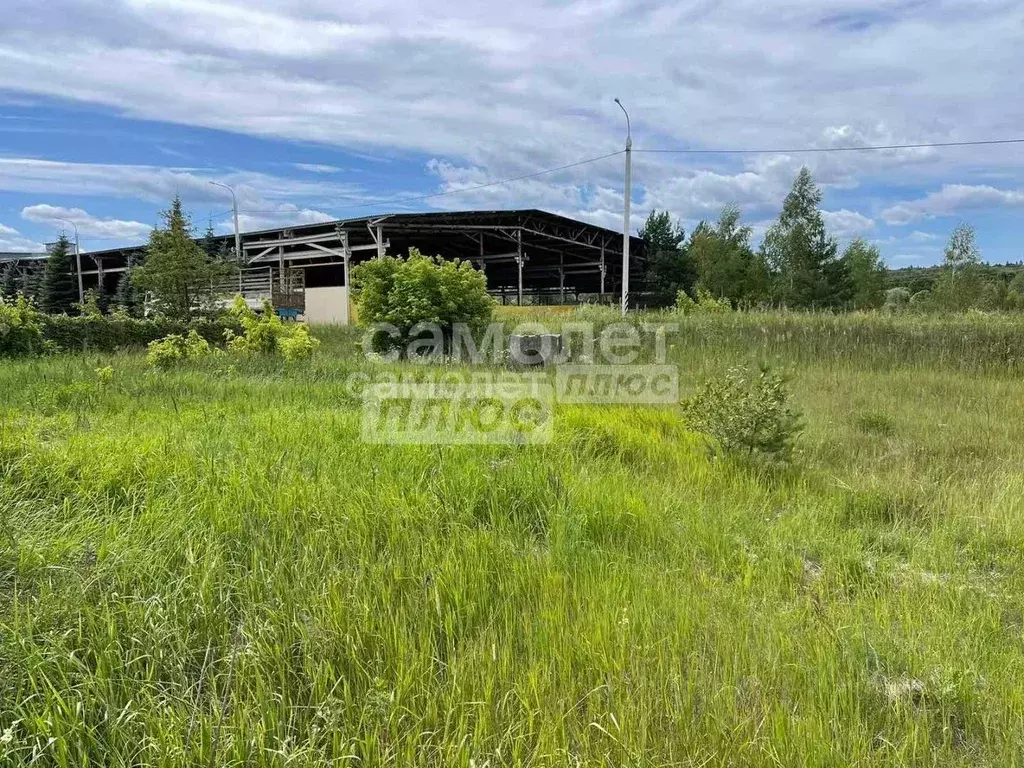 Участок в Калужская область, Дзержинский район, Товарково городское ... - Фото 2
