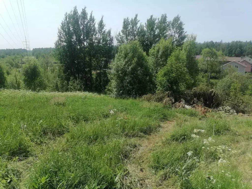 Участок в Ленинградская область, Всеволожский район, Лесколовское ... - Фото 1